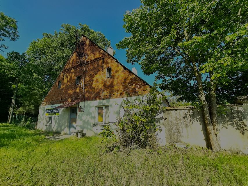 Zdjęcie 2
