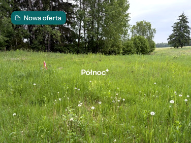 Działka Nieszki