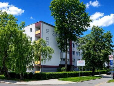 Mieszkanie Bytom sprzedaż