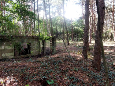 Działka inna Rosanów