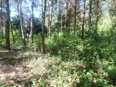 Działka rekreacyjna Dziektarzew