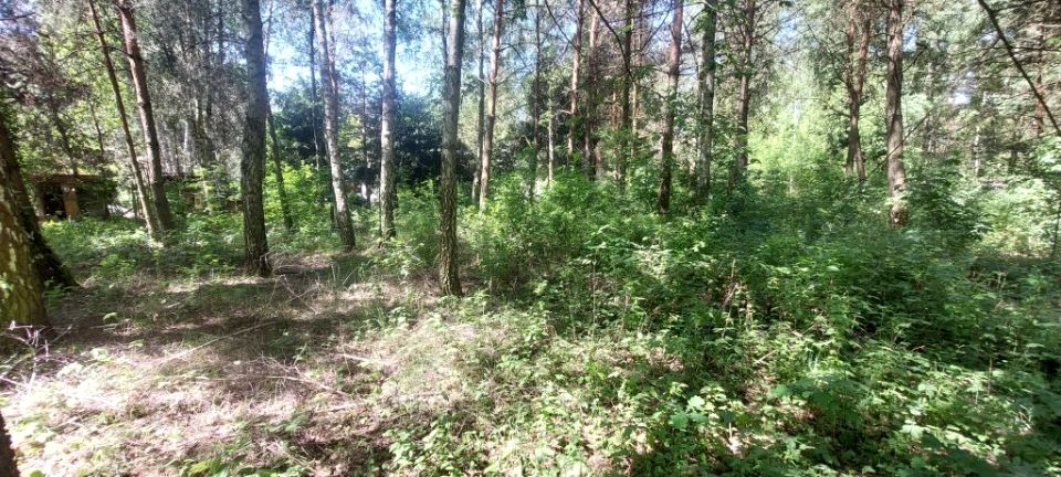 Działka rekreacyjna Dziektarzew