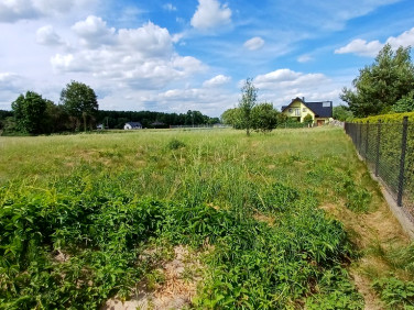Działka budowlana Głogowo