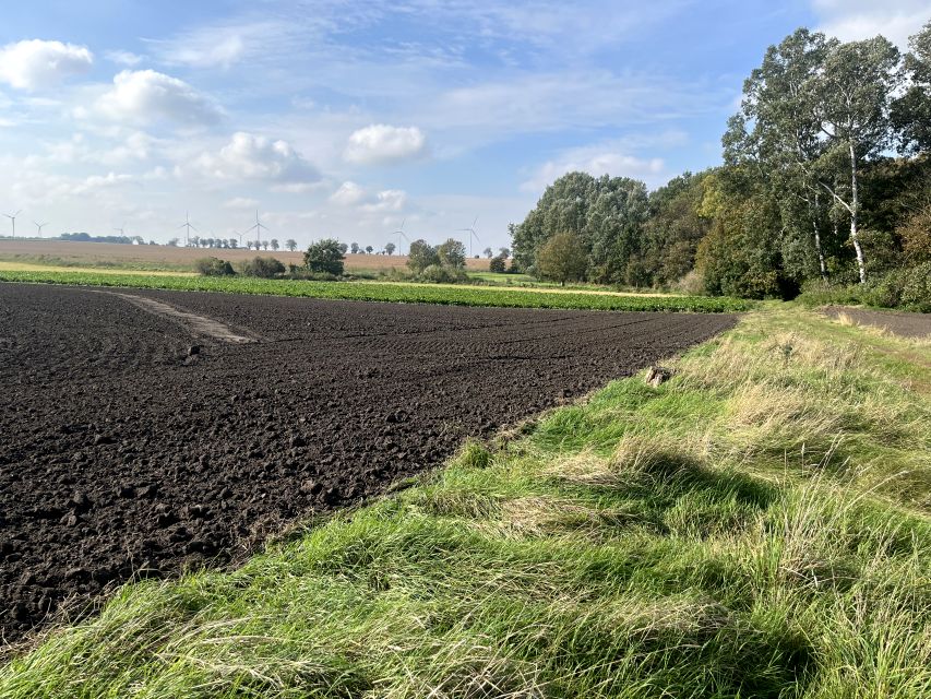 Działka budowlana Krusza Zamkowa
