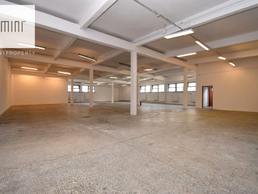 Lokal Kraków