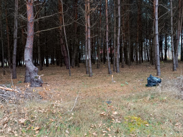 Działka budowlana Niwy