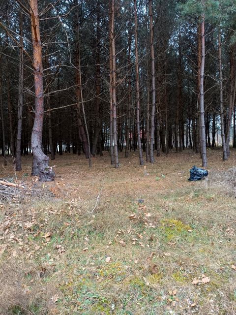 Działka budowlana Niwy