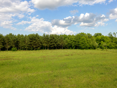 Działka Janopole