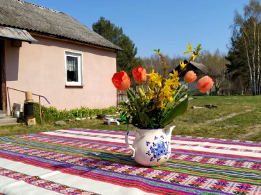 Dom Trzciniec
