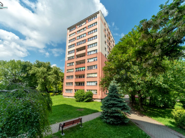 Mieszkanie Bielsko-Biała