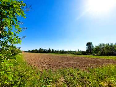 Działka Krzeczów