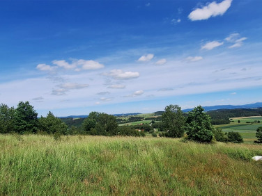 Pusta działka Chocieszów