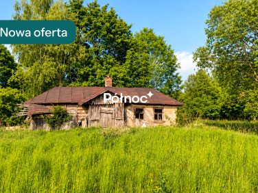Działka siedliskowa Kornie