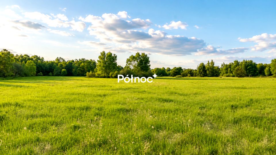 Zdjęcie 3