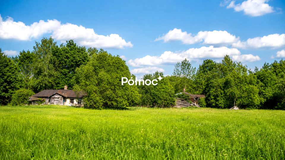 Zdjęcie 2