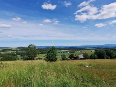 Pusta działka Chocieszów