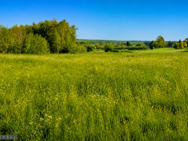 Pusta działka Smardzowice
