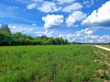 Działka Kamionka