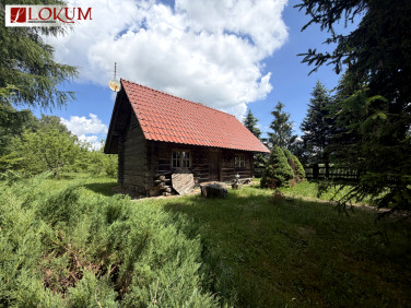 Dom Czerniki sprzedaż