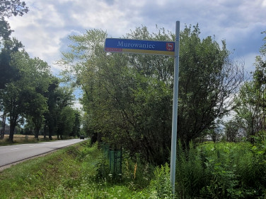 Działka Murowaniec