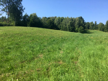 Działka inna Bieliny