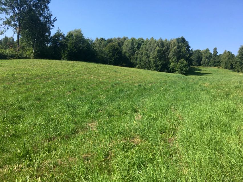 Działka inna Bieliny