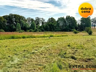 Działka Jenikowo