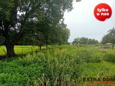 Działka Święta