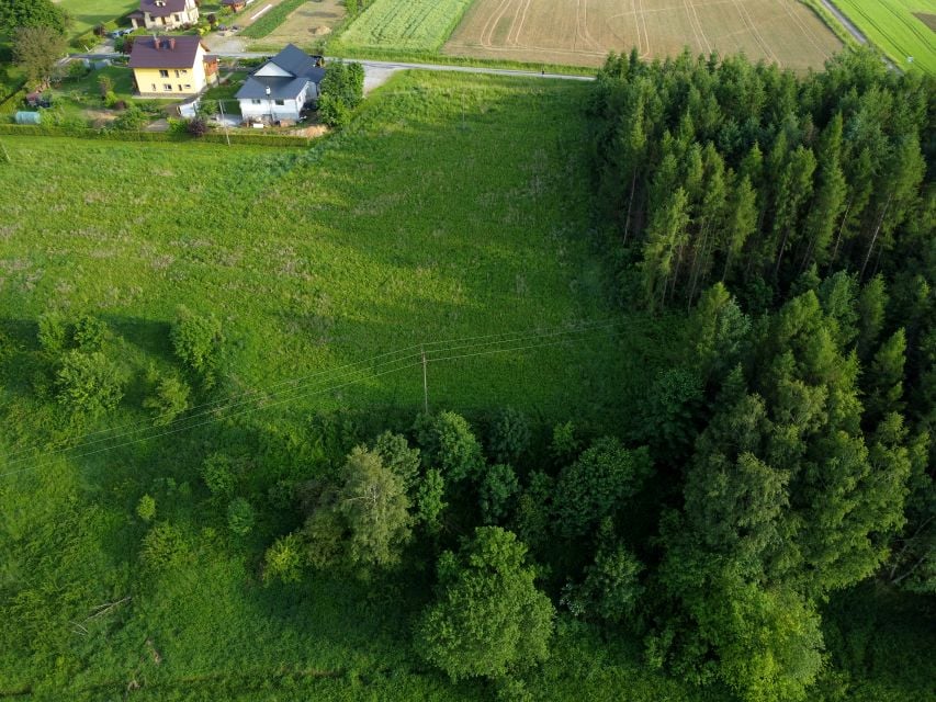 Działka Różanka