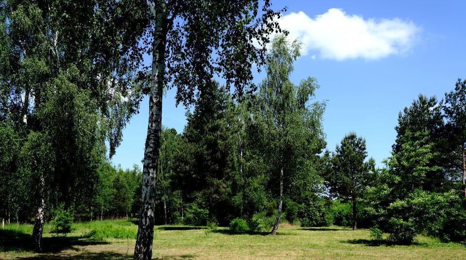 Działka budowlana Częstochowa