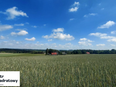 Działka Bartniczka