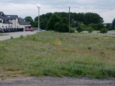 Działka Lubin