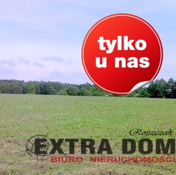 Działka Łosośnica