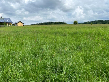 Działka nad rzeką