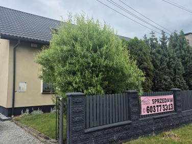 Dom wolnostojący sprzedaż