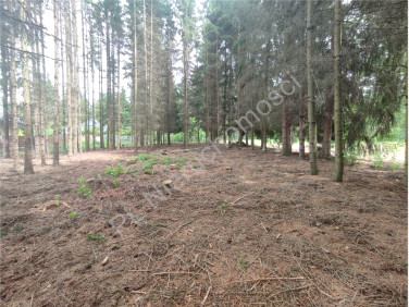 Działka budowlana Radonie