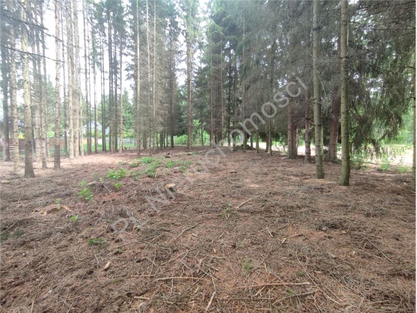 Działka budowlana Radonie