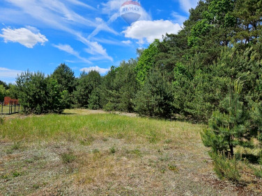 Działka budowlana Skierniewice