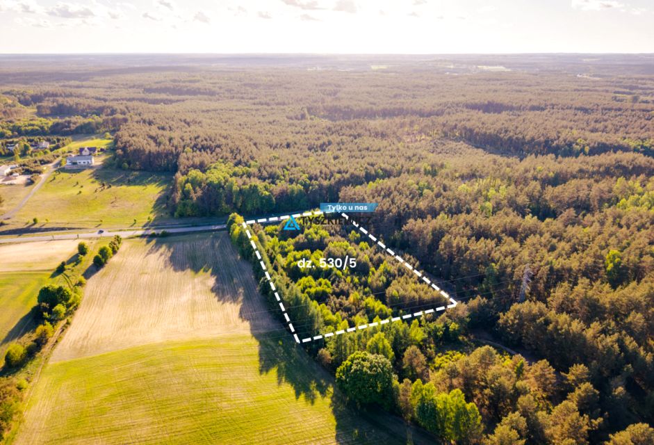 Działka przemysłowa Skorzewo
