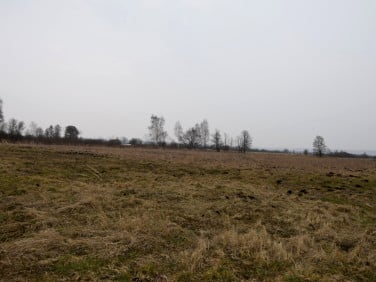 Działka rolna Redkowice