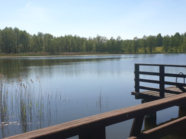 Działka budowlana Rybno