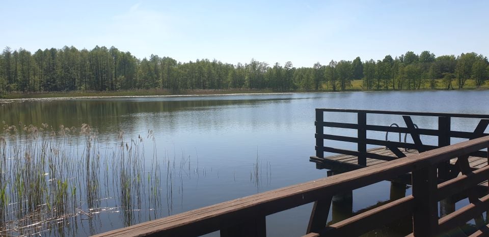 Działka budowlana Rybno