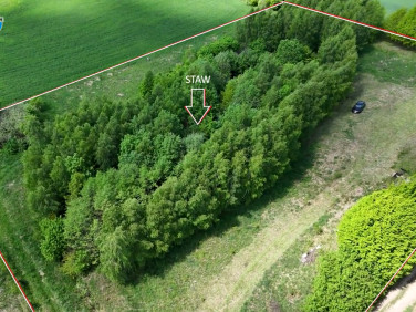 Działka Wysin