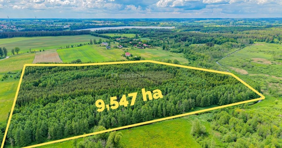 Działka leśna Możne