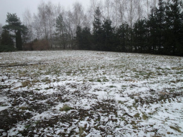 Działka budowlana Buk