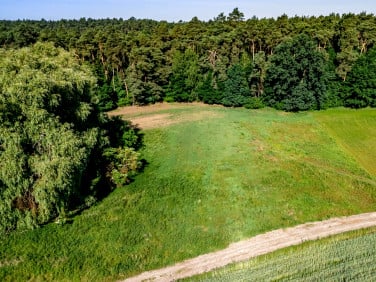Działka Porażyn