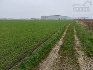 Działka budowlana Wolica