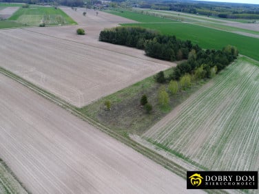 Działka rolna Orla