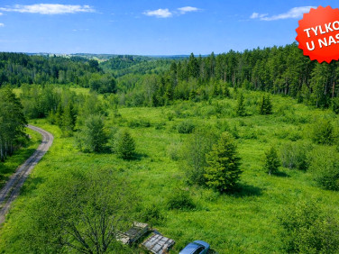 Działka Milwino