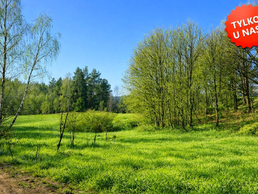 Działka Grzybno